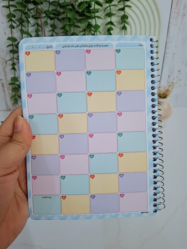 پلنر بارداری