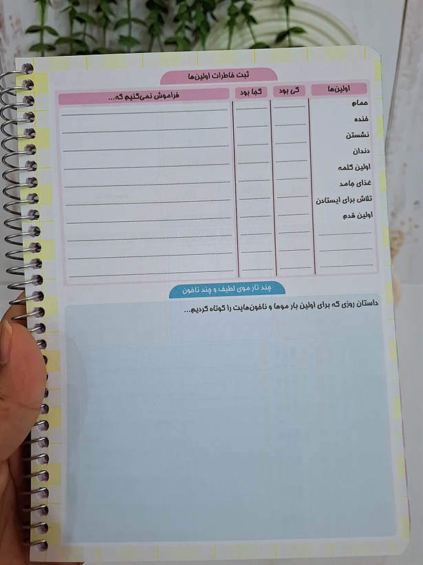 پلنر بارداری